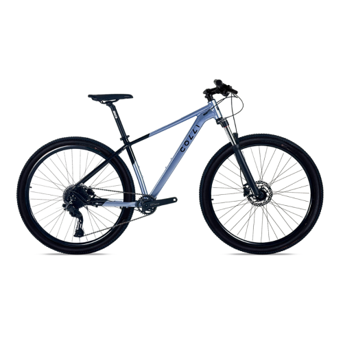 BICICLETA COLLI VALÊNCIA - ROXA